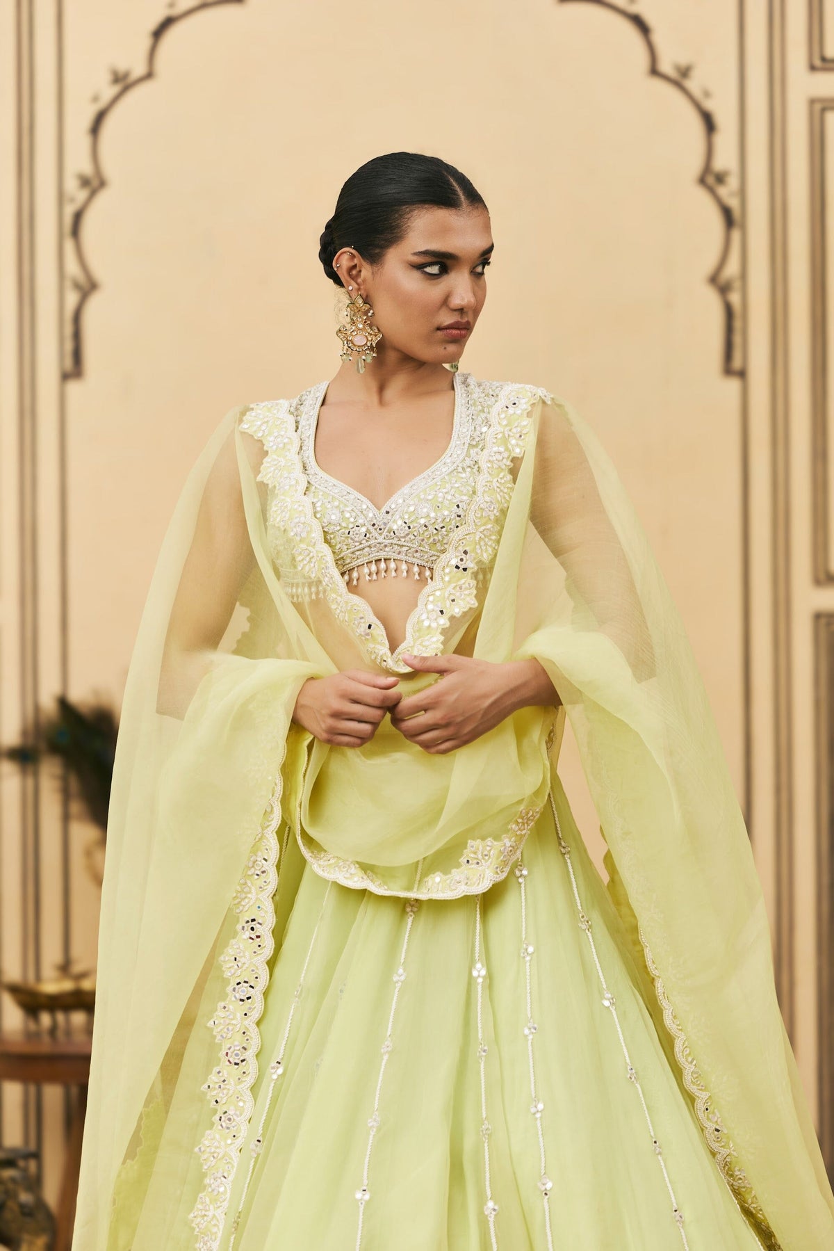 Pudina Organza Lehenga Set by ITRH