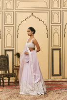 Baingani Organza Lehenga Set by ITRH