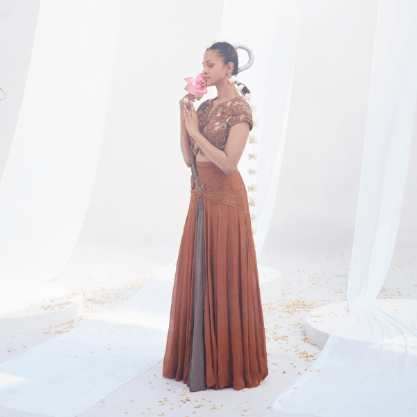 Dayamayi- Festive Draped saree blouse set — view 3