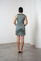 Harika Dress by Shriya Singhi