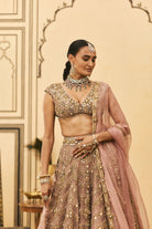 Raani Haar Tissue Lehenga Set by ITRH