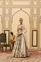 Rajat Paasa Tissue Lehenga Set by ITRH